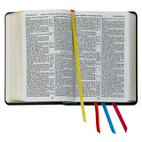 The Holy Bible