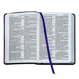 The Holy Bible