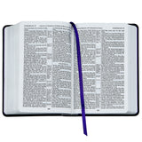 The Holy Bible