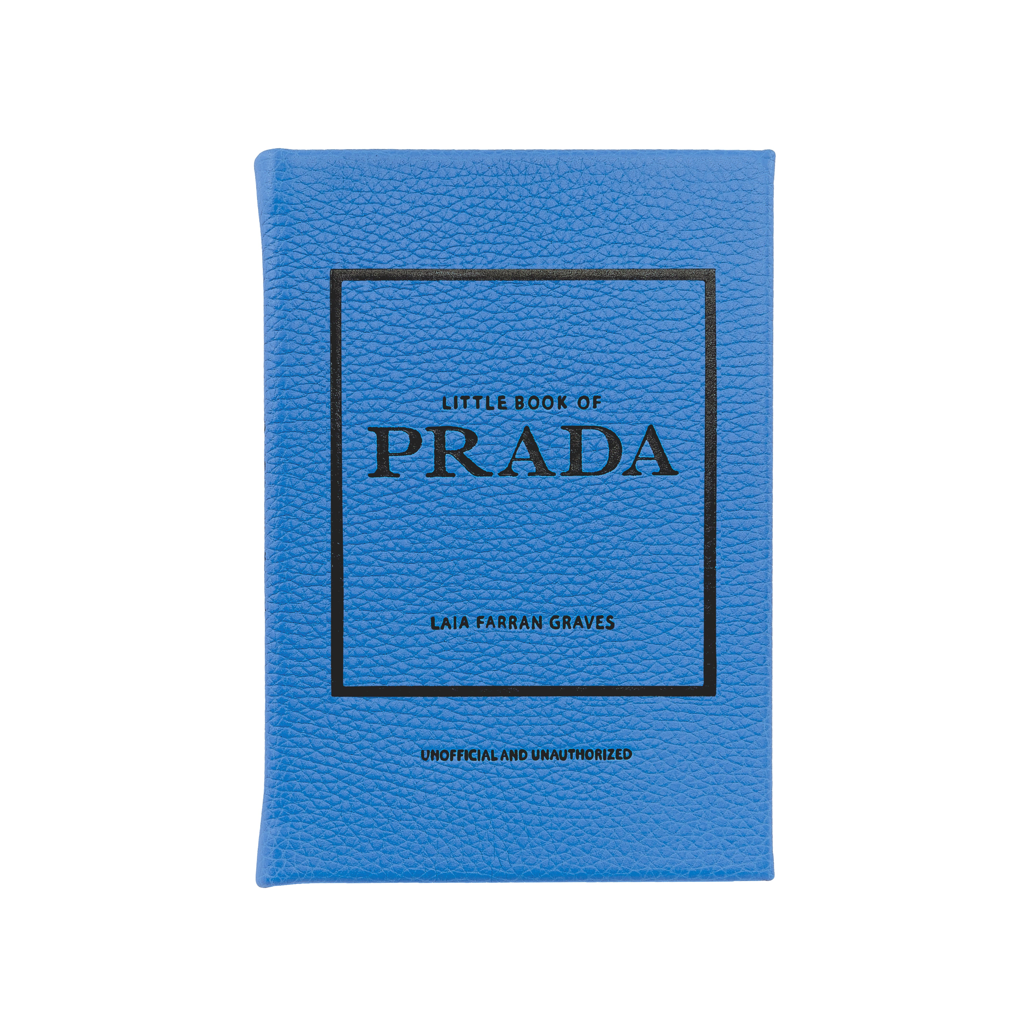 Graphic Image Little Book of Prada - Blue