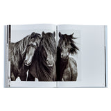 Untamed Spirits: Horses From Around the World