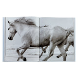 Untamed Spirits: Horses From Around the World