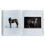 Untamed Spirits: Horses From Around the World