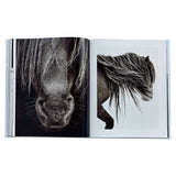 Untamed Spirits: Horses From Around the World