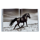 Untamed Spirits: Horses From Around the World