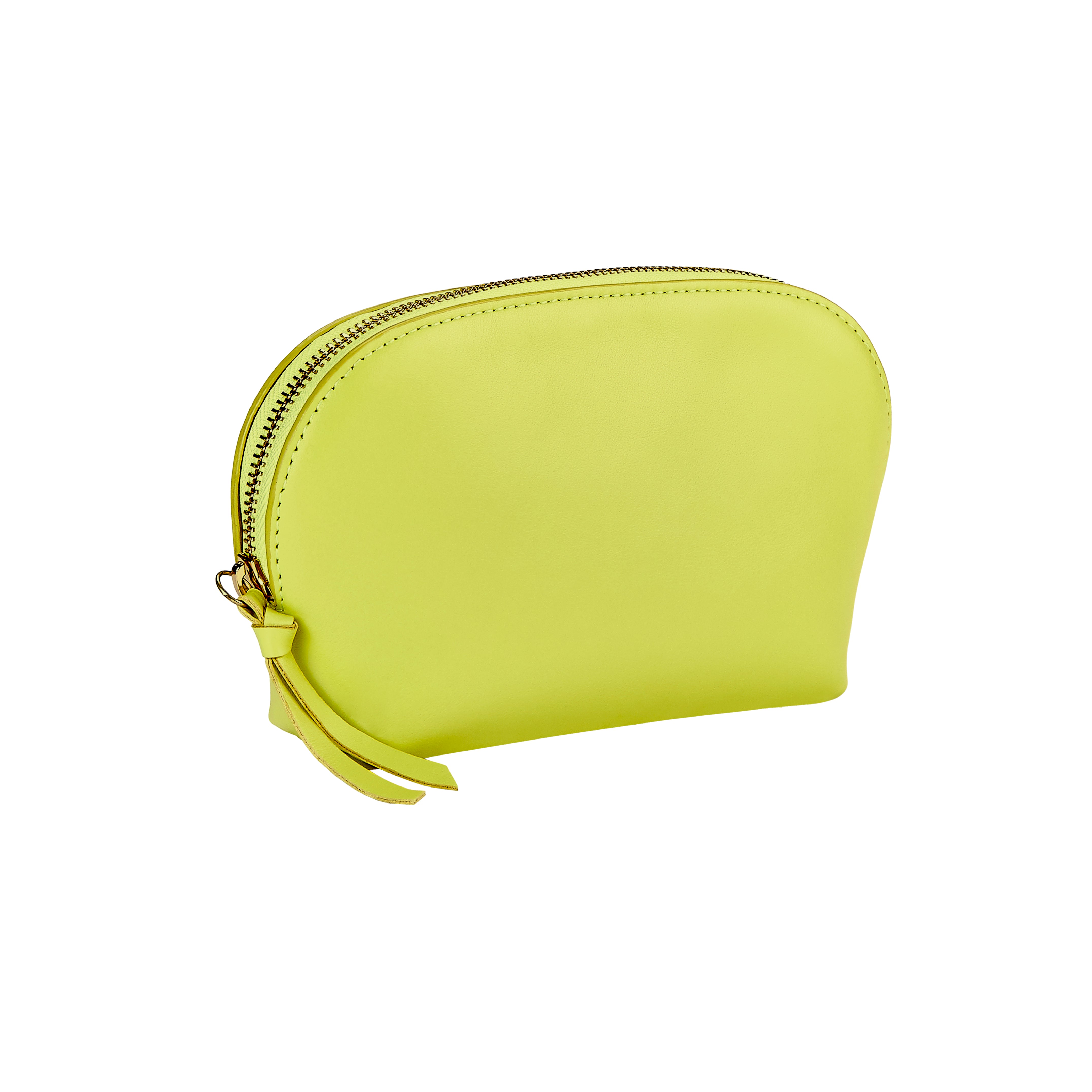 Dome Cosmetic Case