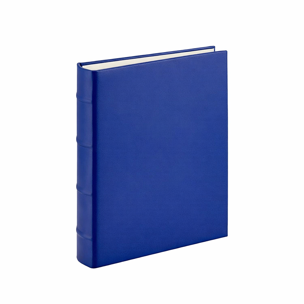 Medium 4-Ring Clear Pocket Album