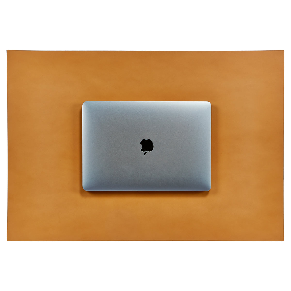 Large Blotter | Tan/Navy Italian Leather – Graphic Image