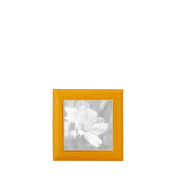 4" x 4" Atelier Frame