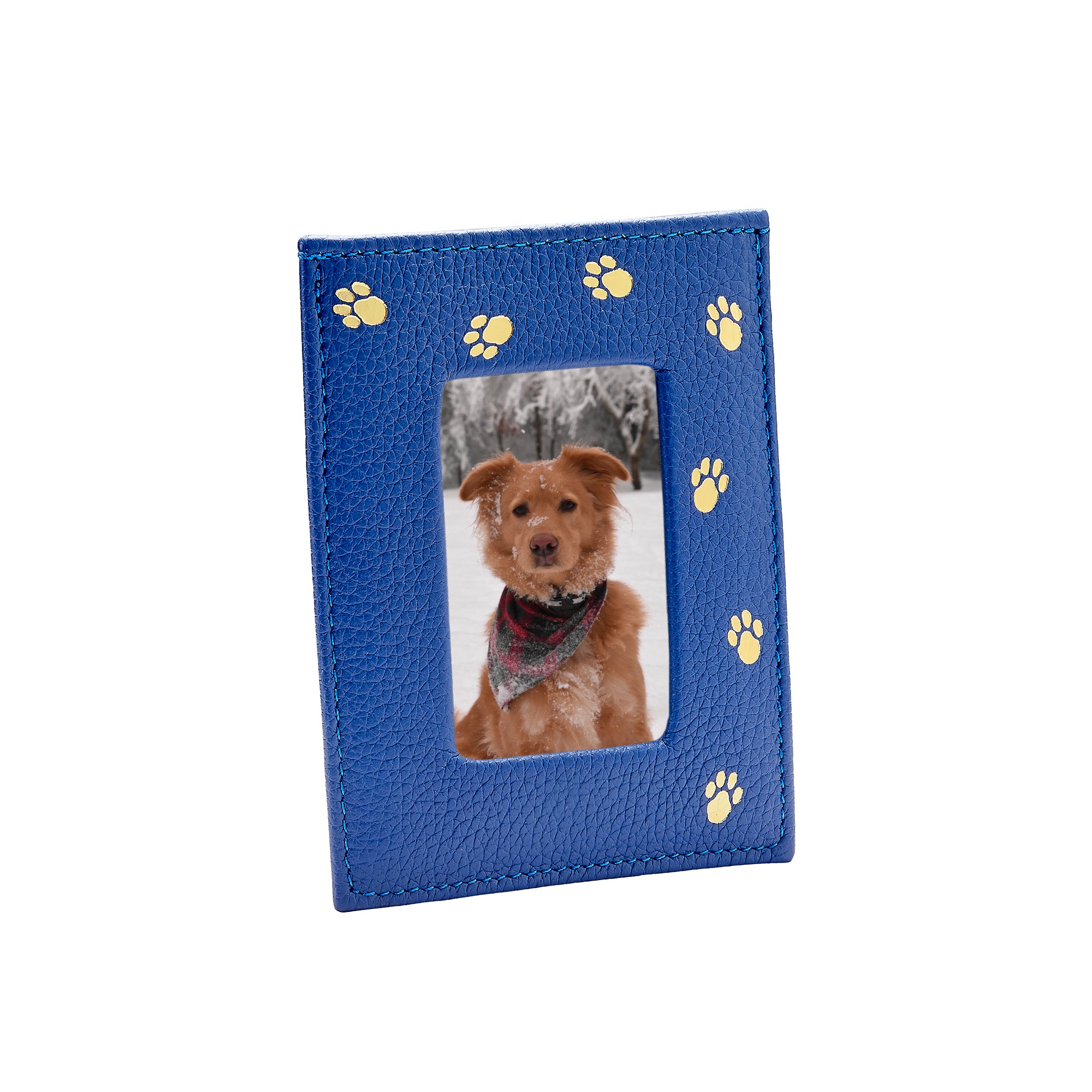 Pet Frame