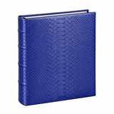 Medium 4-Ring Clear Pocket Album Ocean Python