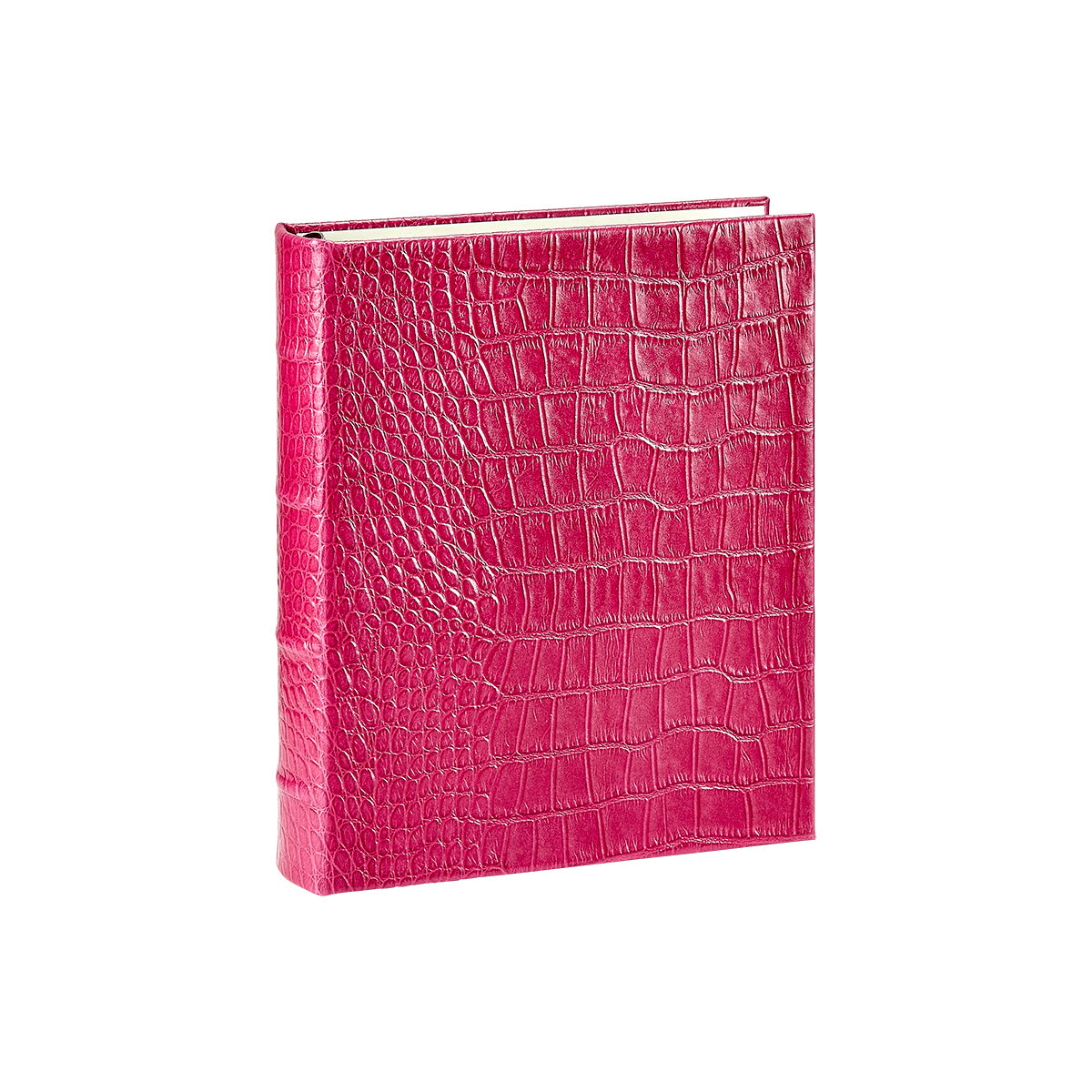 Medium 4-Ring Clear Pocket Album