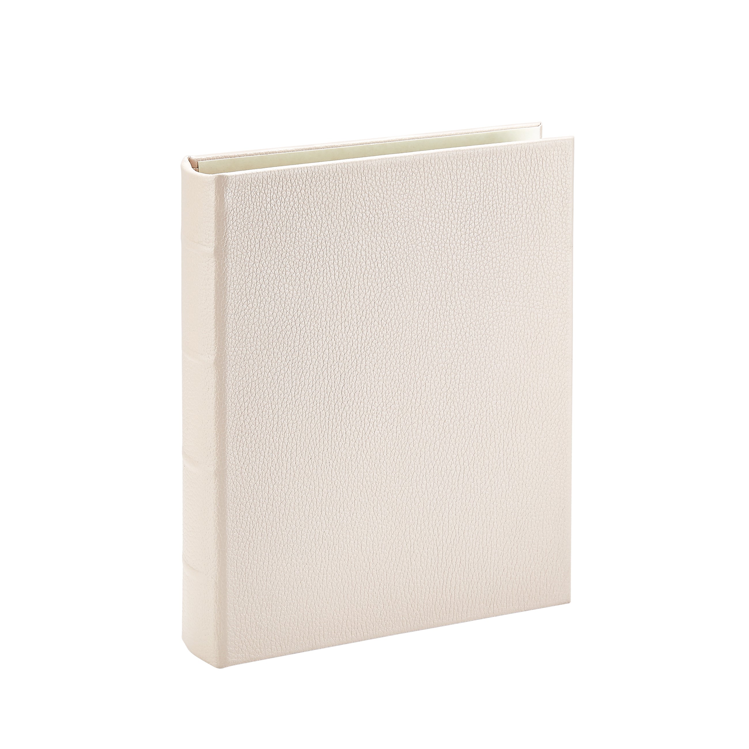 Medium 4-Ring Clear Pocket Album