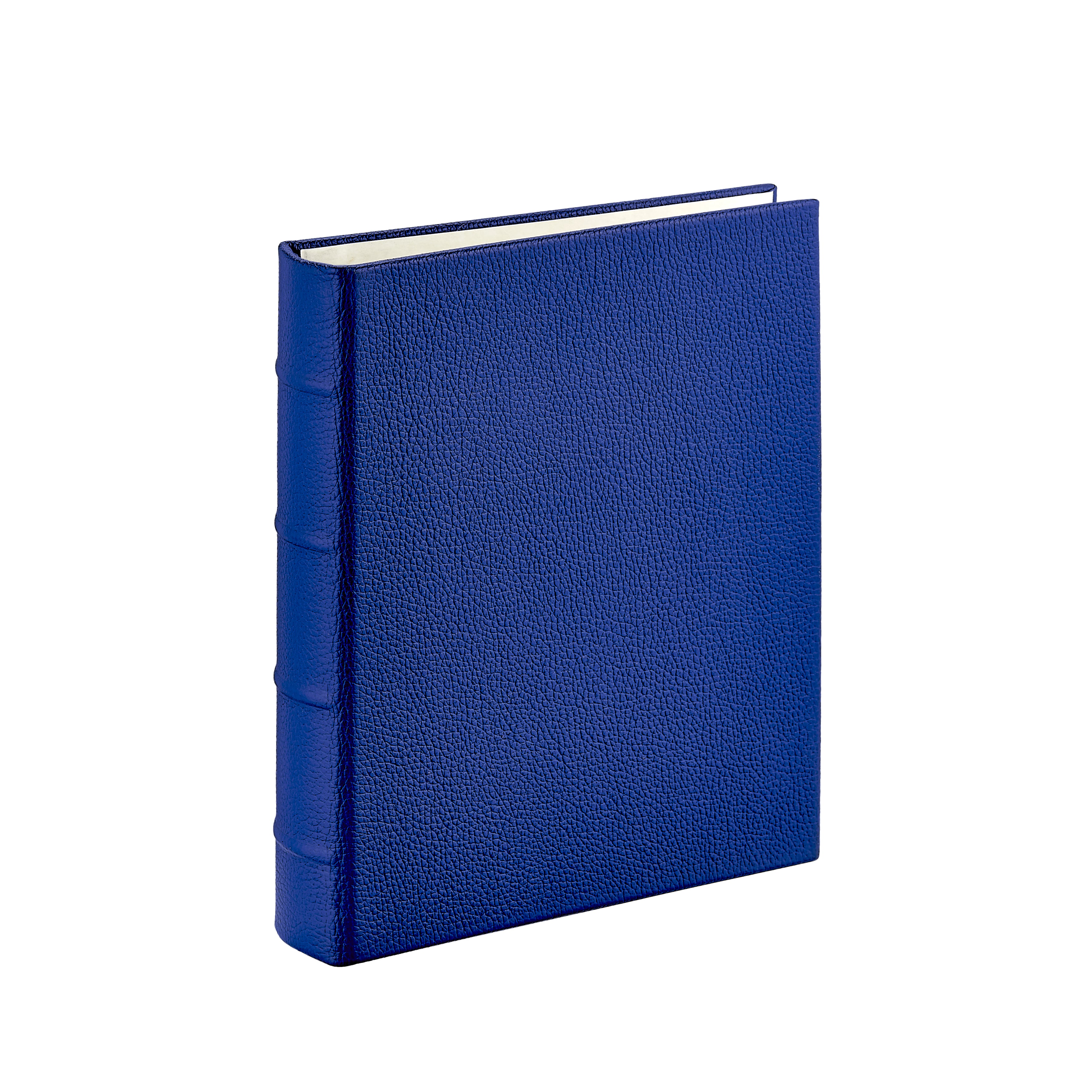 Medium 4-Ring Clear Pocket Album