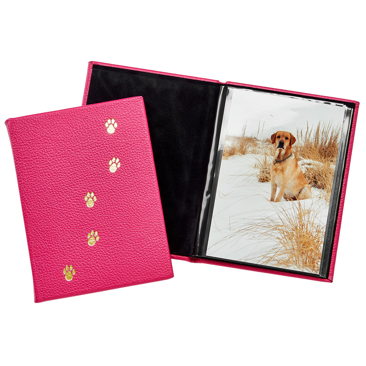 Pet Brag Book