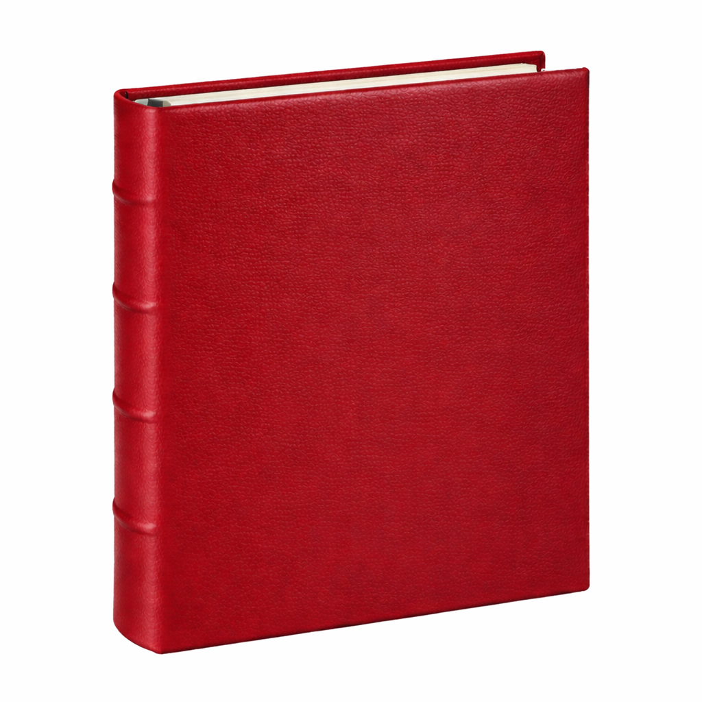 Medium 4-Ring Clear Pocket Album