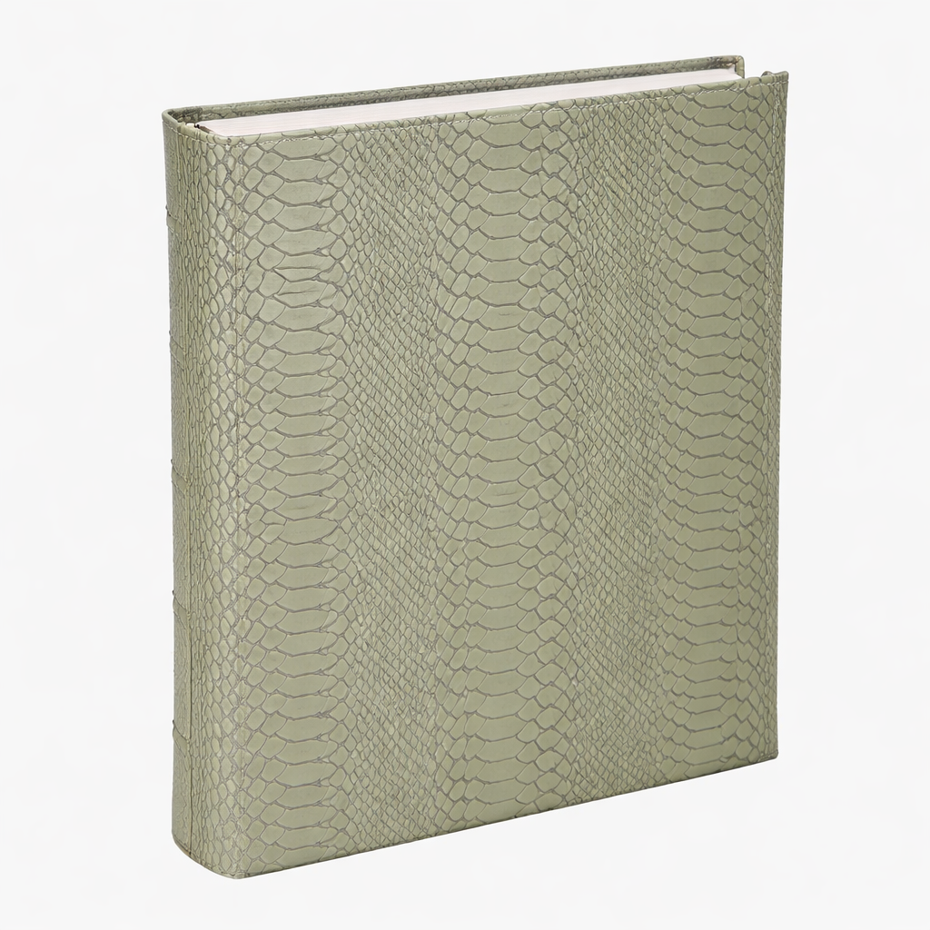 Large 3-Ring Clear Pocket Album Sage Python