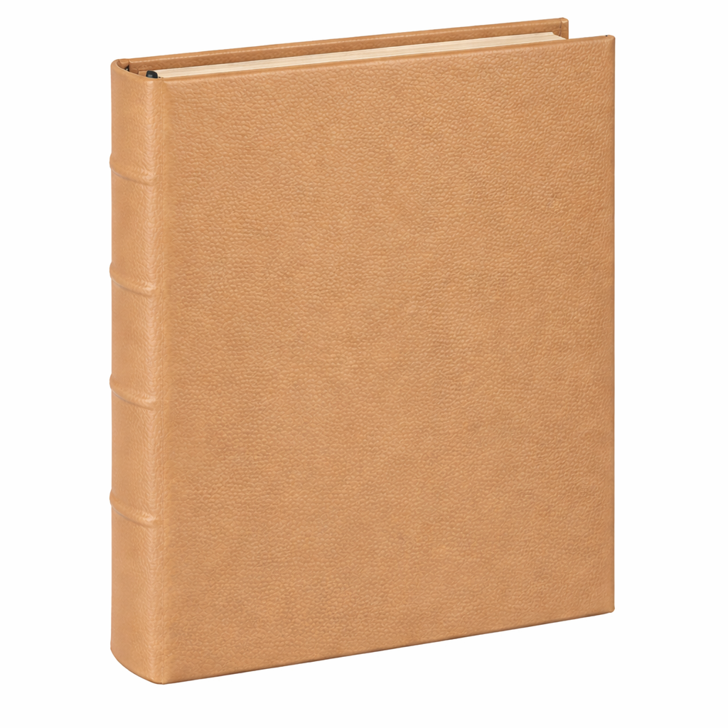 Medium 4-Ring Clear Pocket Album