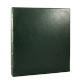 Large 3-Ring Clear Pocket Album