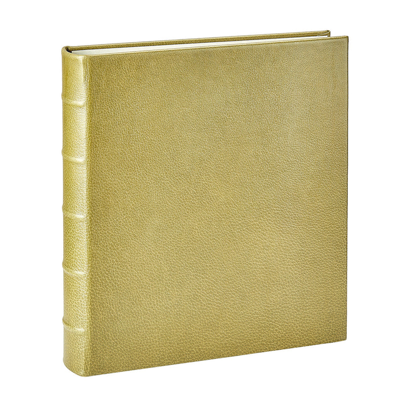 Large Ring Clear Pocket Album