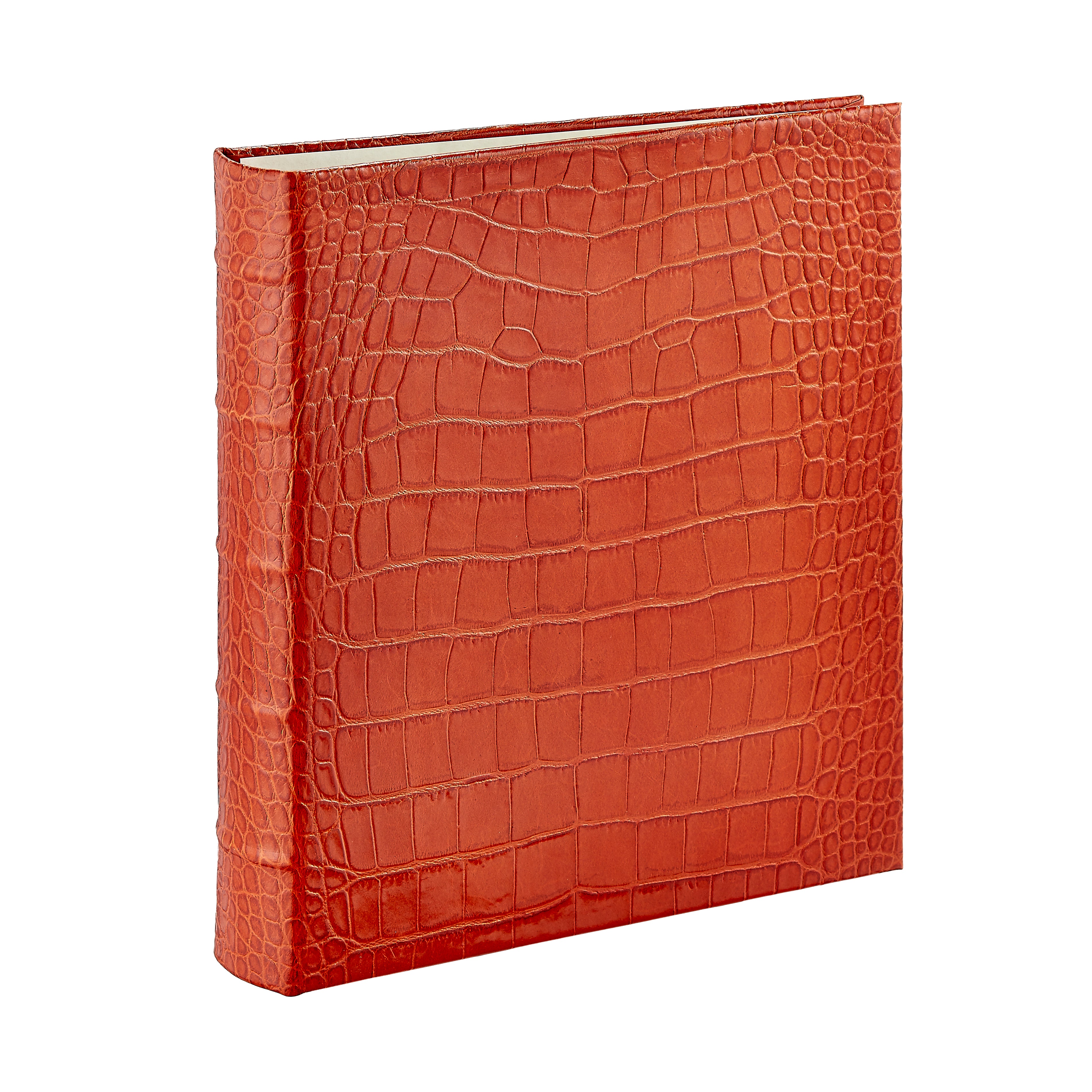 Large 3-Ring Clear Pocket Album