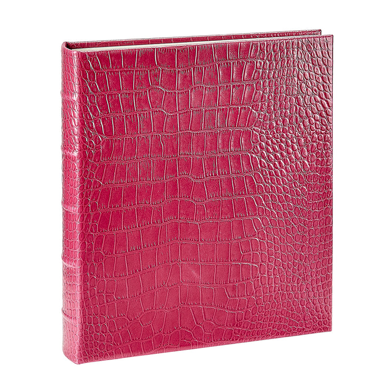 Large Ring Clear Pocket Album
