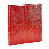 Large Ring Clear Pocket Album