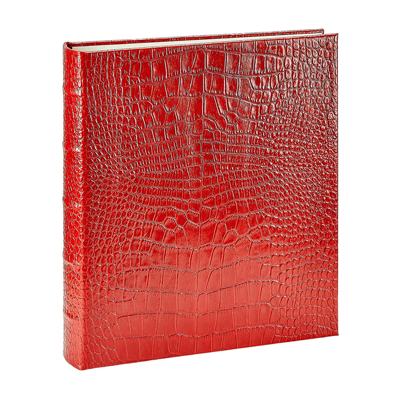 Large Ring Clear Pocket Album