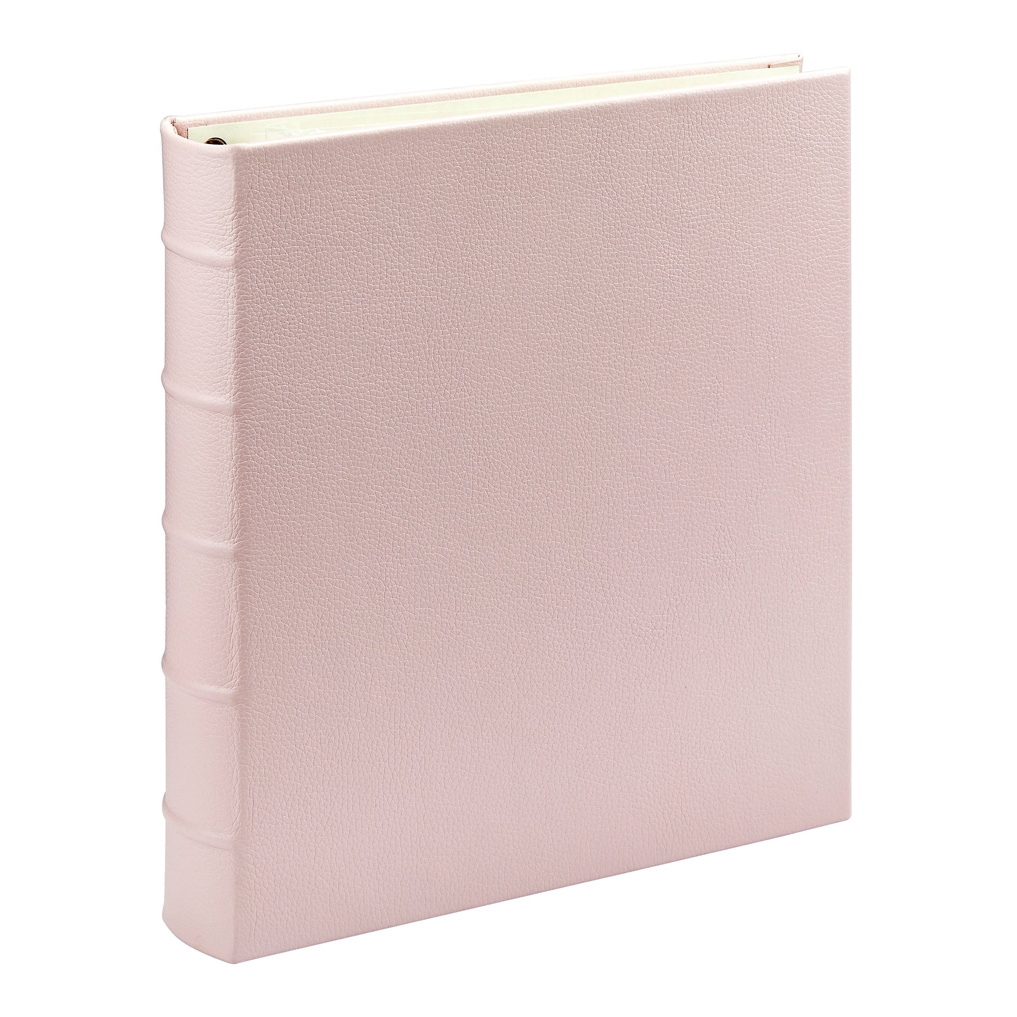 Large 3-Ring Clear Pocket Album