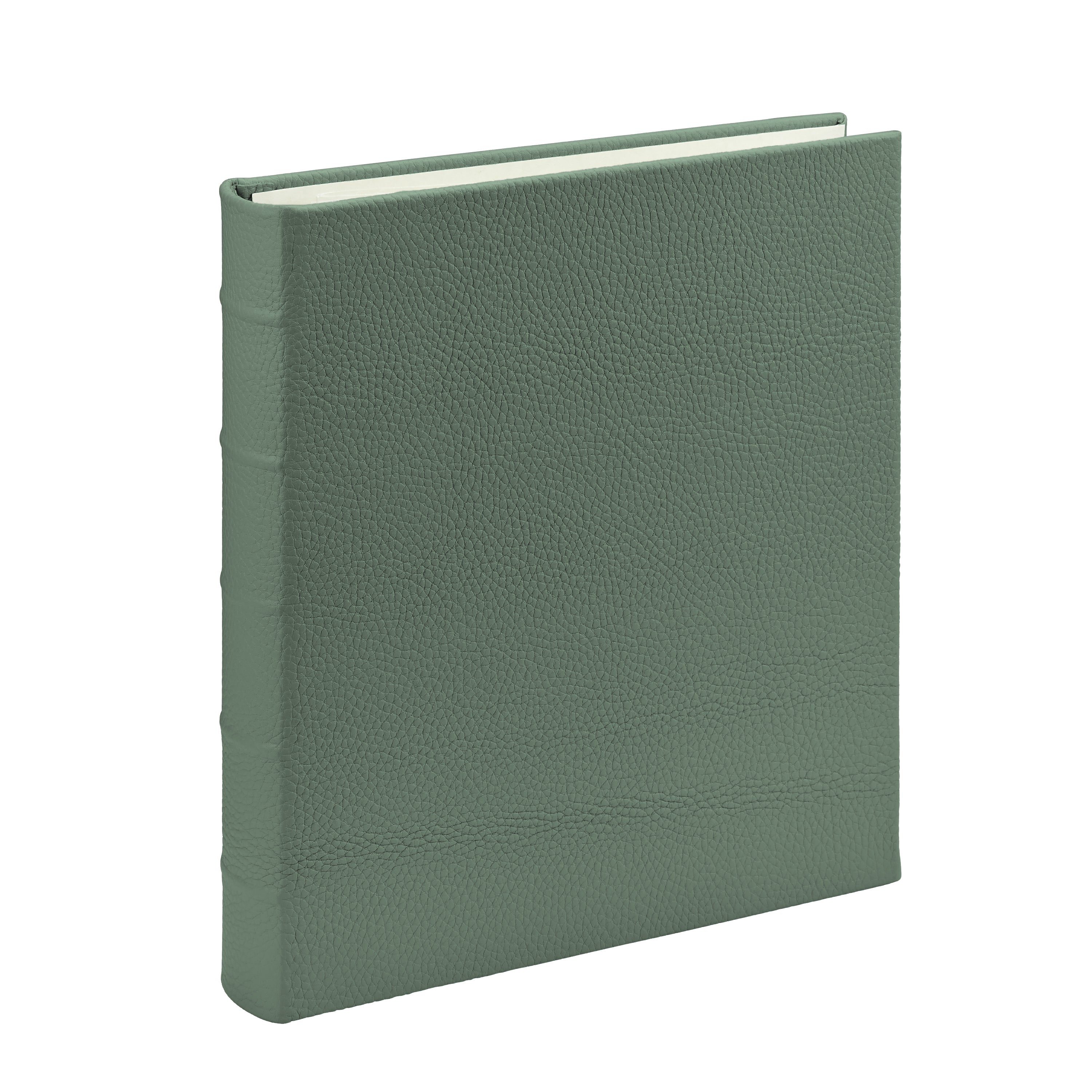 Large 3-Ring Clear Pocket Album