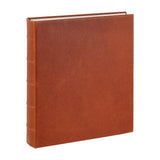 Large 3-Ring Clear Pocket Album