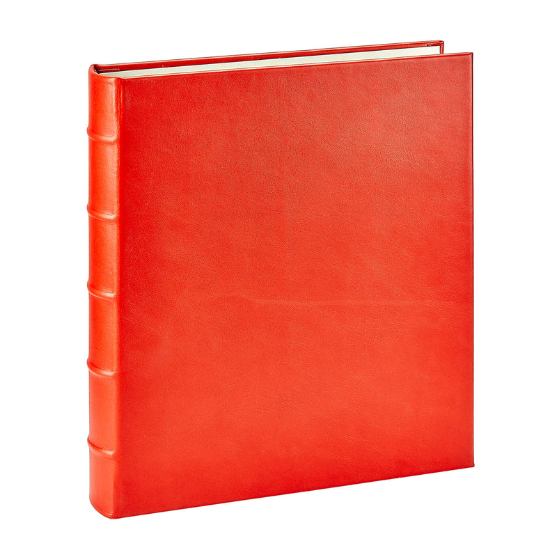 Large Ring Clear Pocket Album