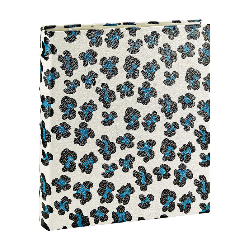 Large Ring Clear Pocket Album