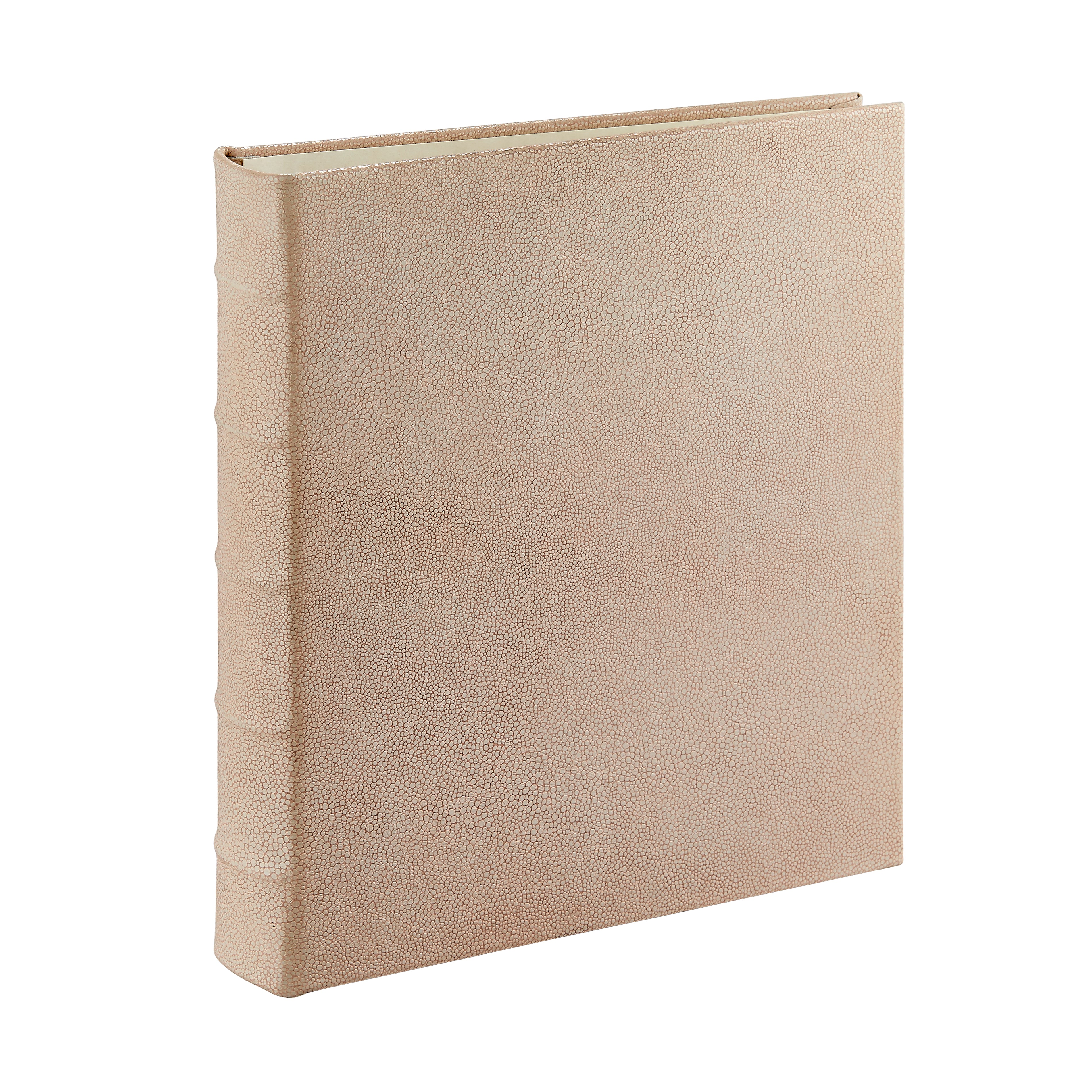 Large 3-Ring Clear Pocket Album