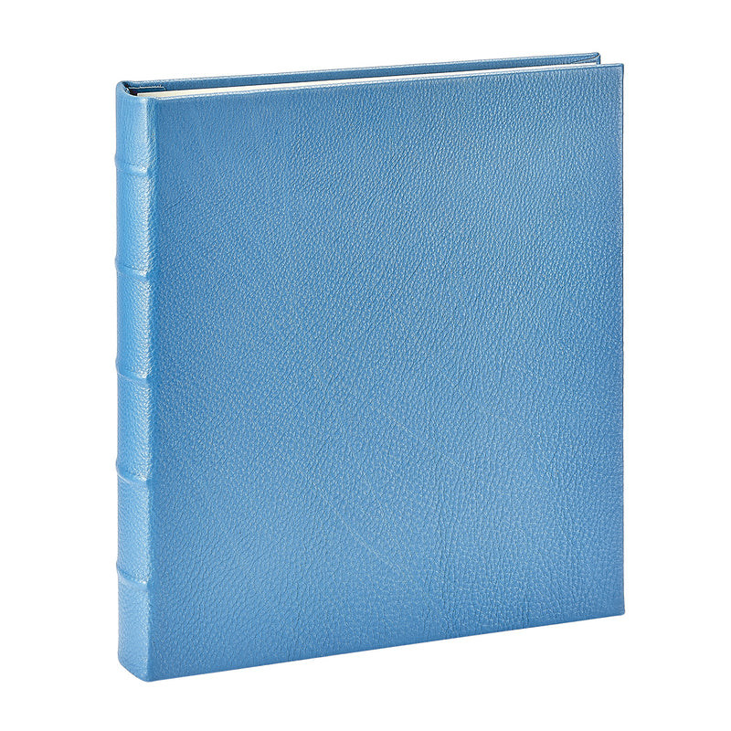 Large Ring Clear Pocket Album