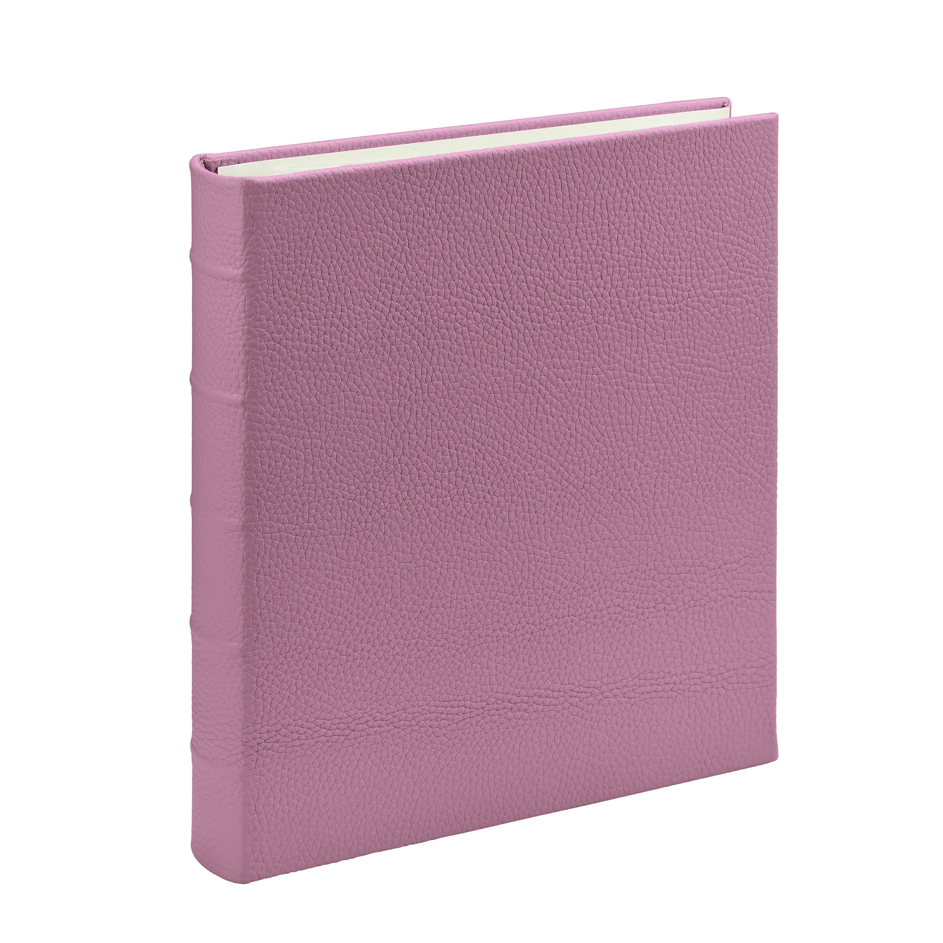 Large 3-Ring Clear Pocket Album