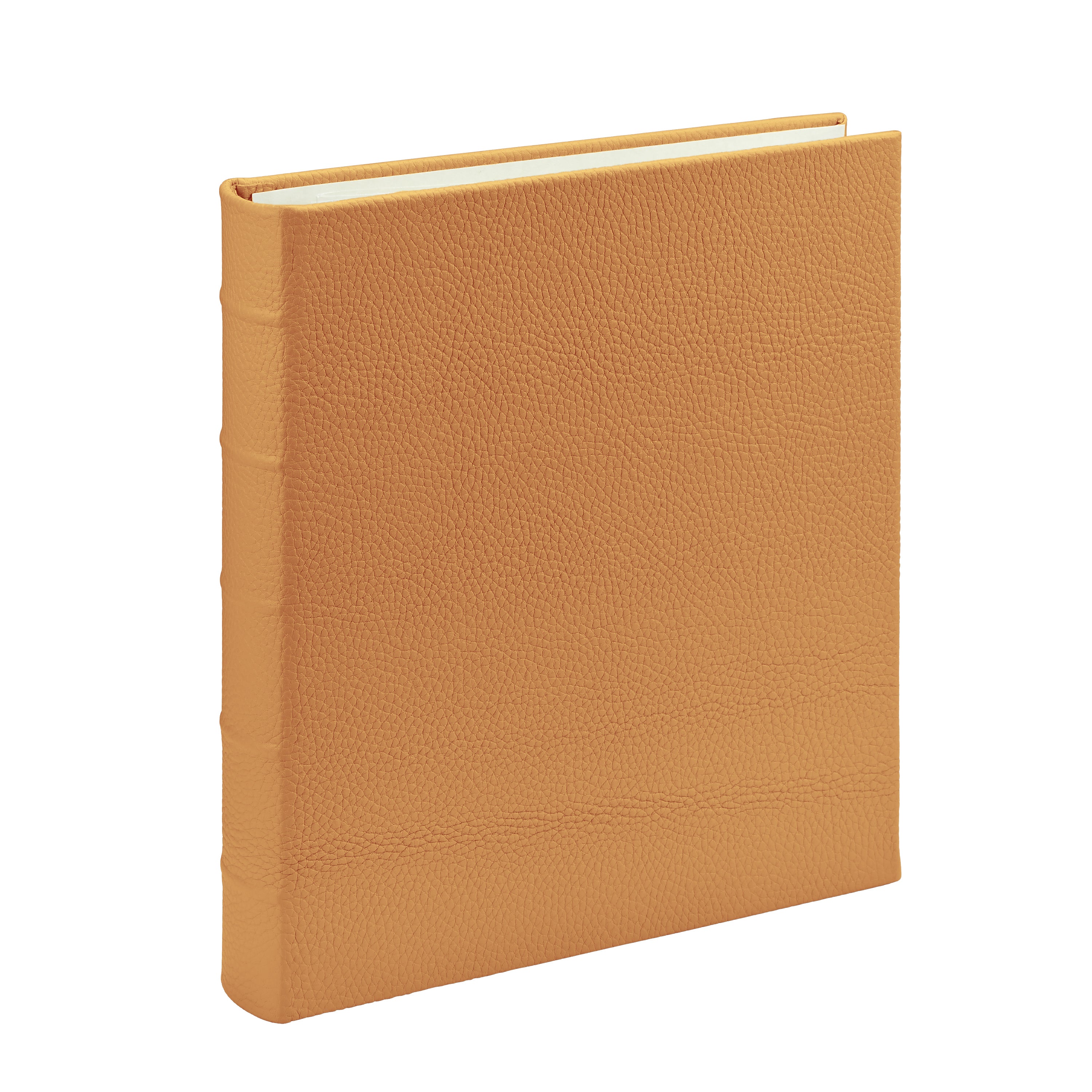 Large 3-Ring Clear Pocket Album