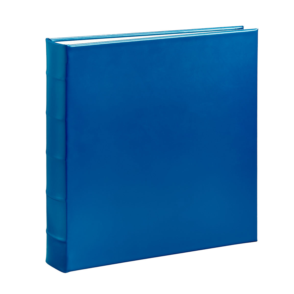 Large 3-Ring Clear Pocket Album