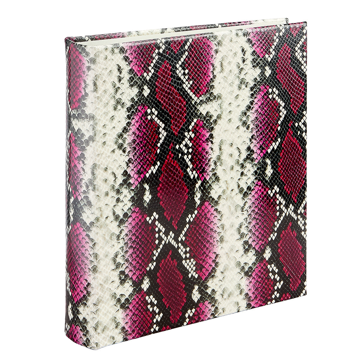 Large 3-Ring Clear Pocket Album