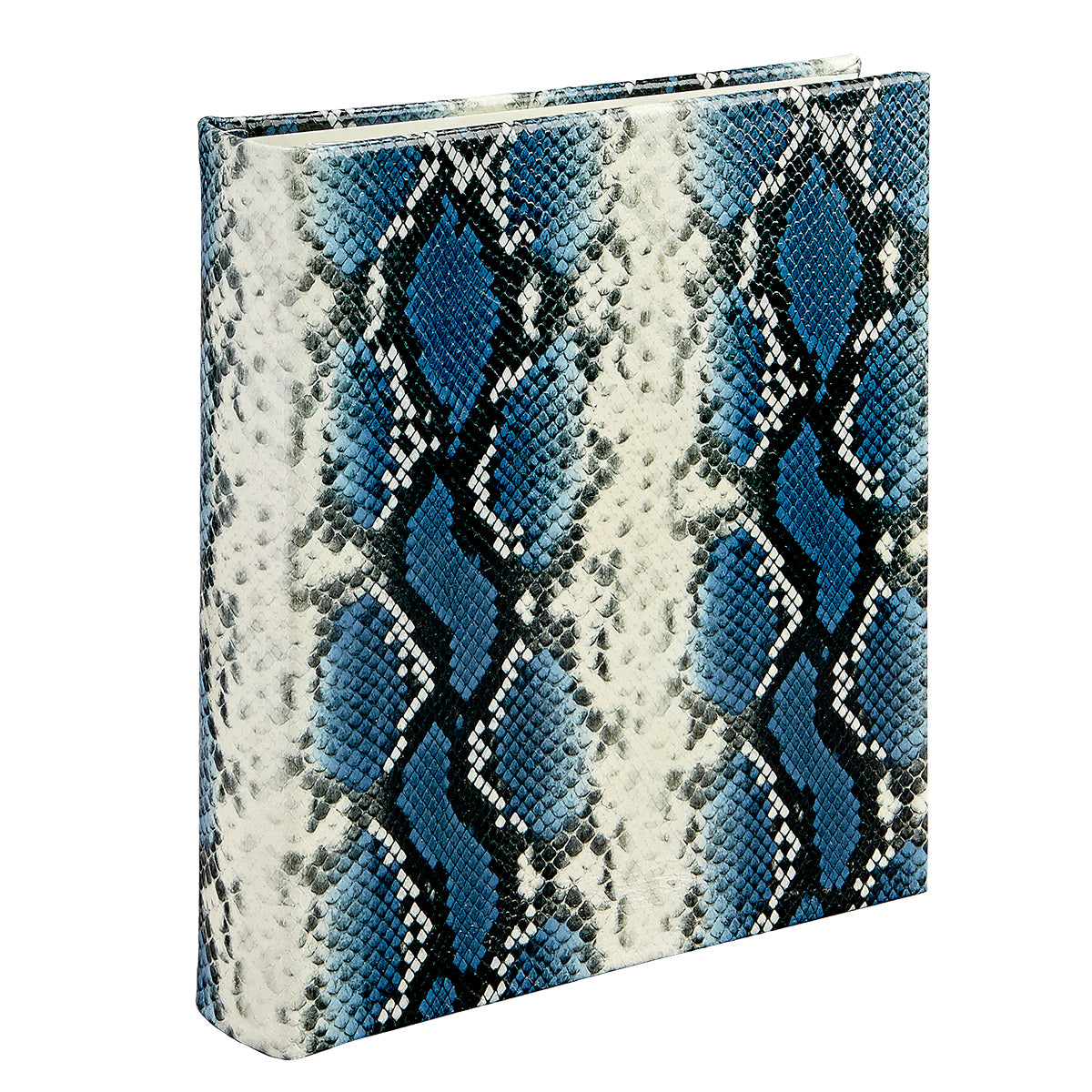 Large 3-Ring Clear Pocket Album
