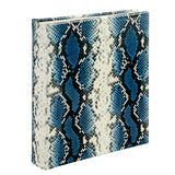 Large Ring Clear Pocket Album