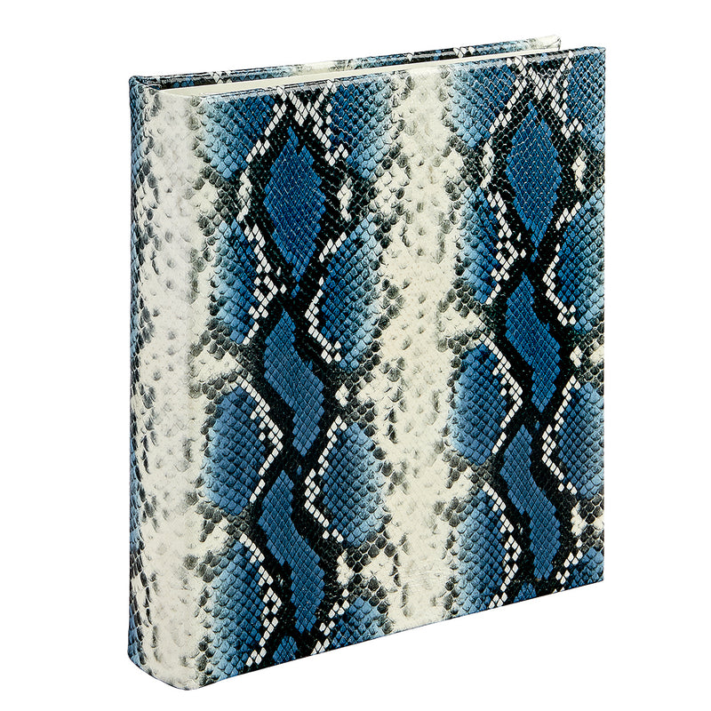 Large Ring Clear Pocket Album
