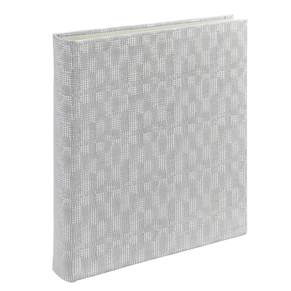 Large 3-Ring Clear Pocket Album