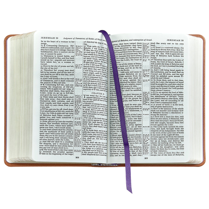 The Holy Bible