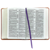 The Holy Bible