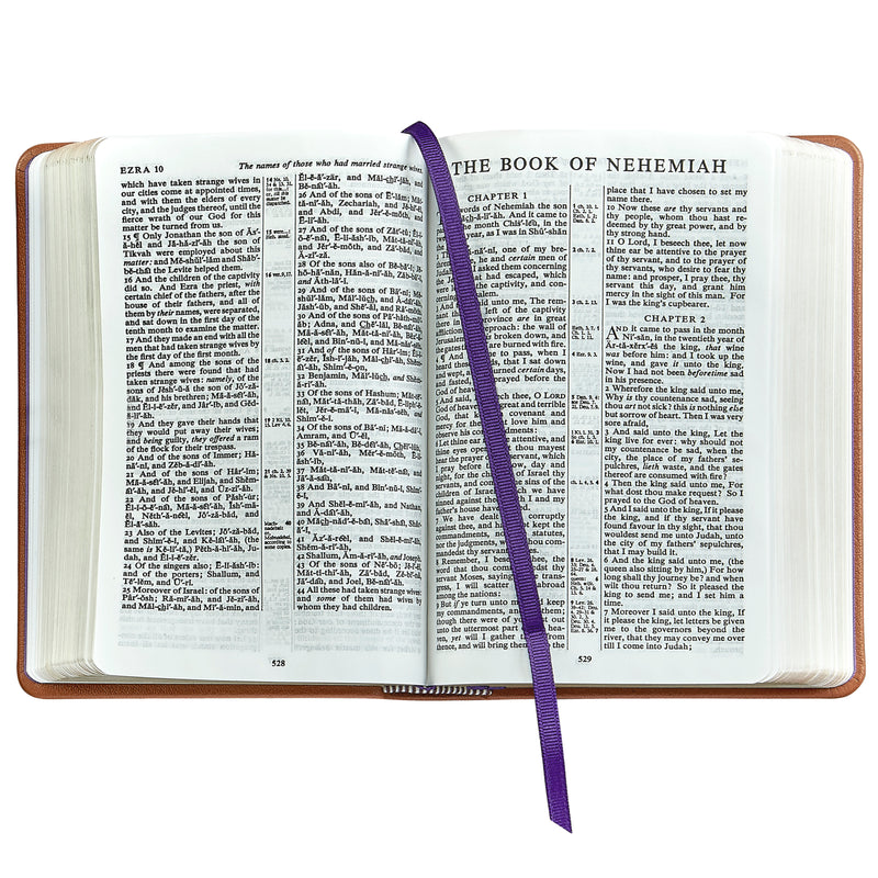 The Holy Bible