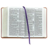 The Holy Bible