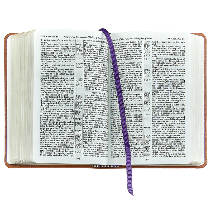 The Holy Bible