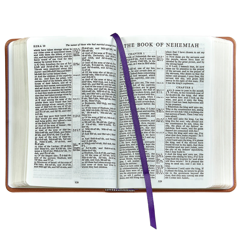 The Holy Bible