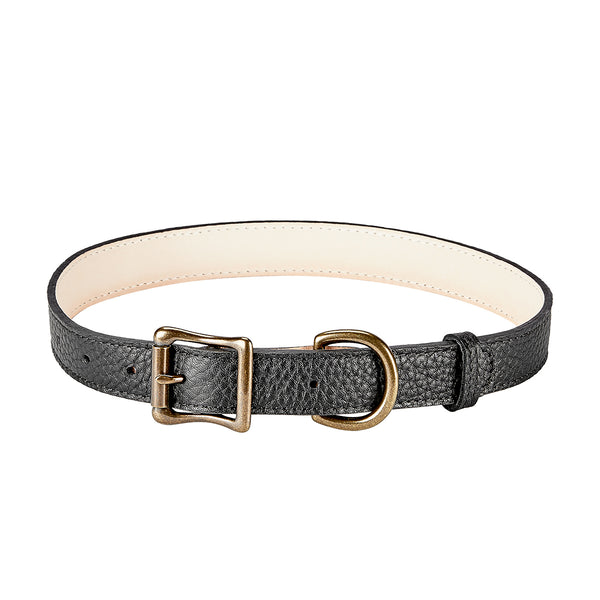 Large Dog Collar